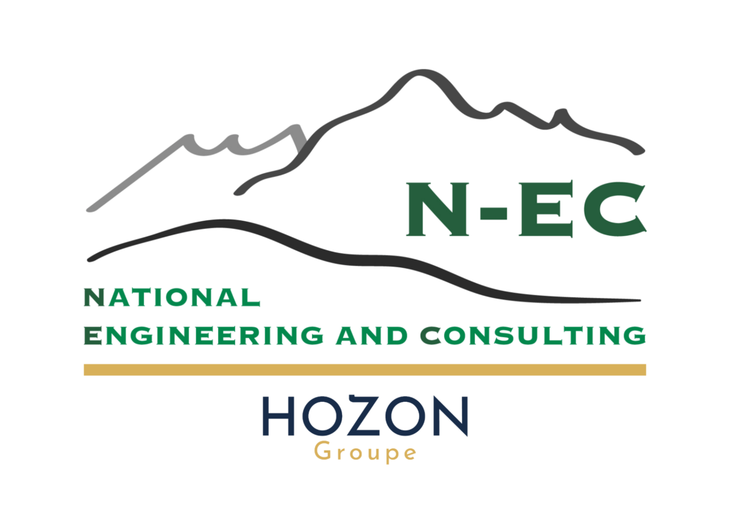 logo National Engineering and Consulting