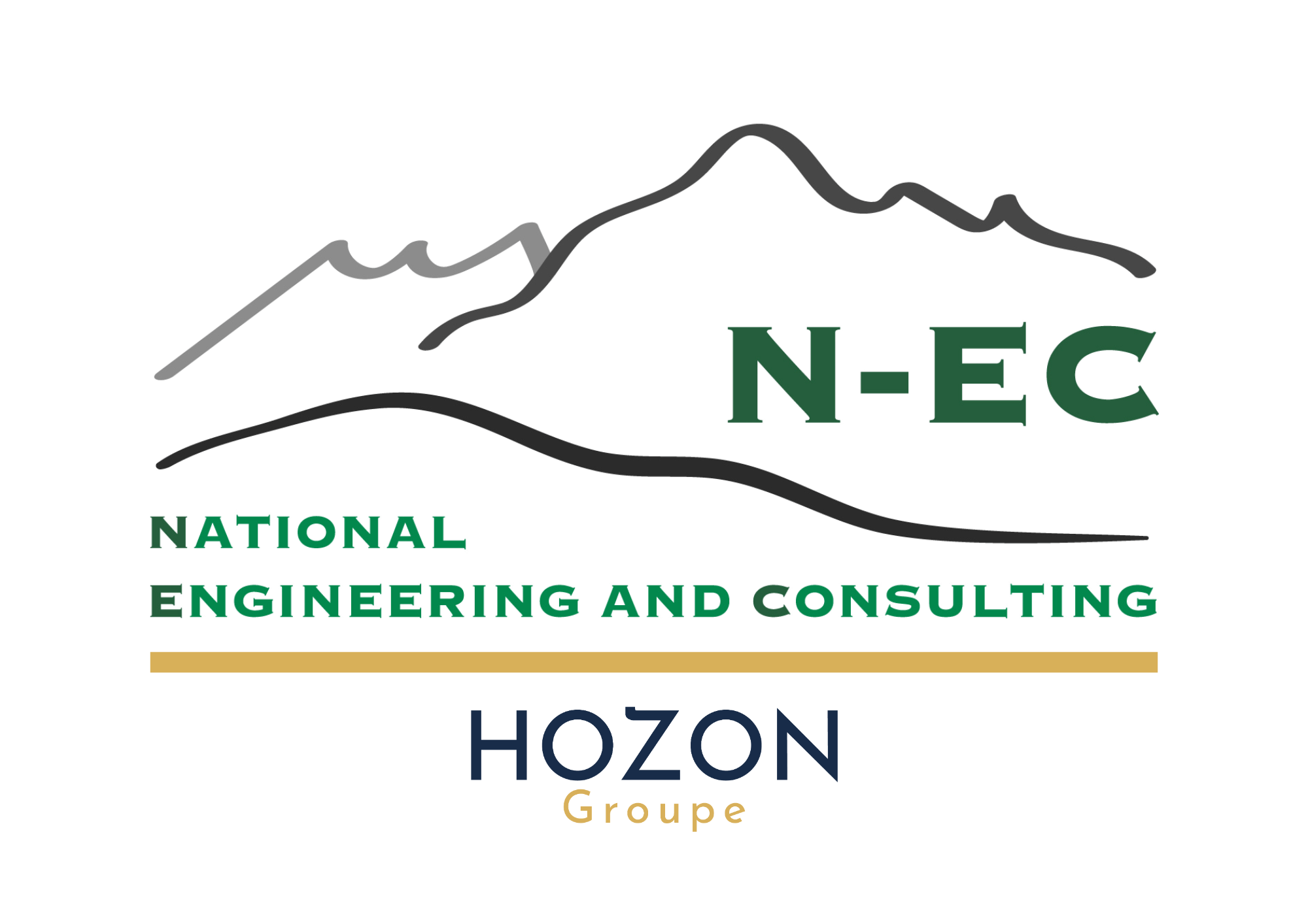 logo National Engineering and Consulting